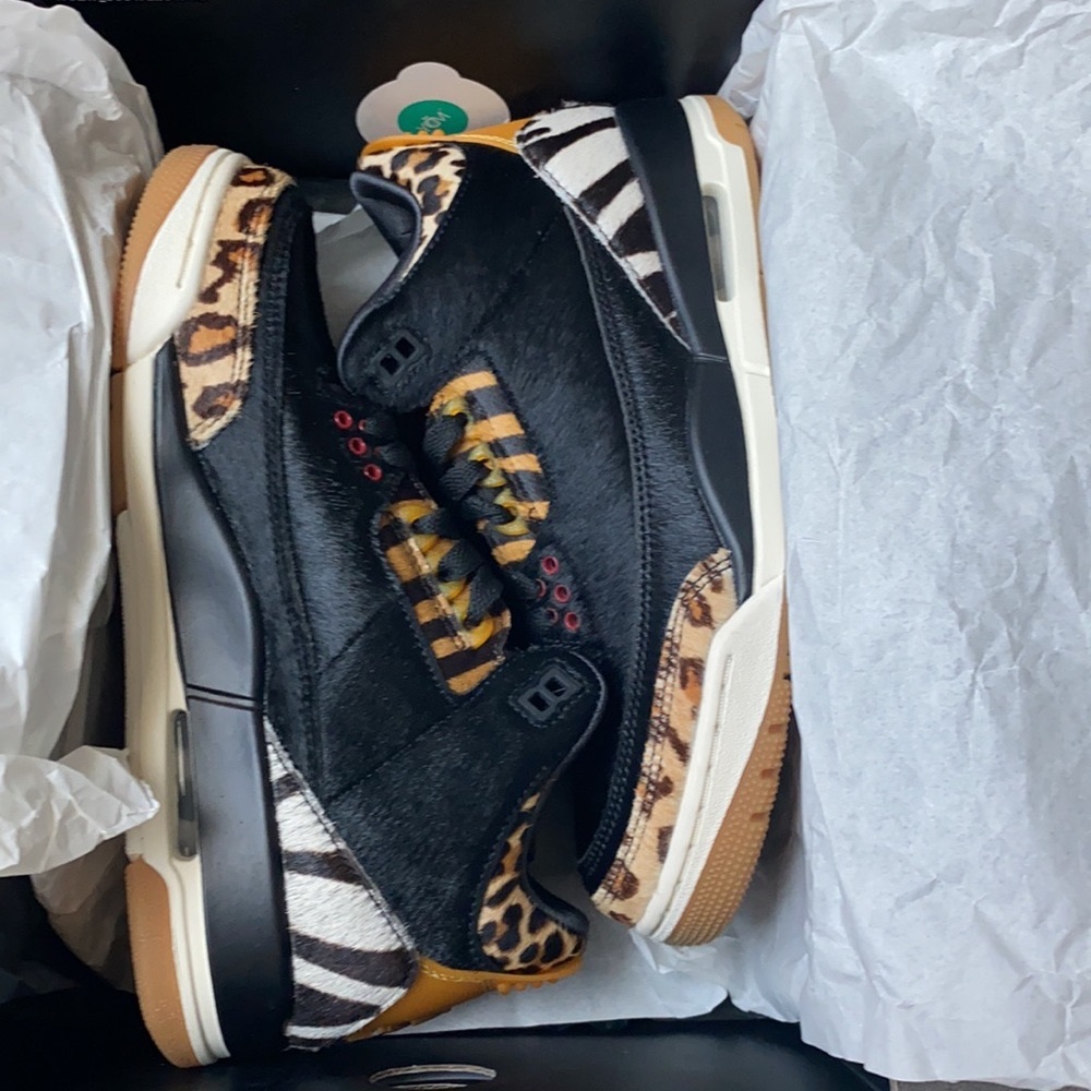 Air Jordan 3 retro SE